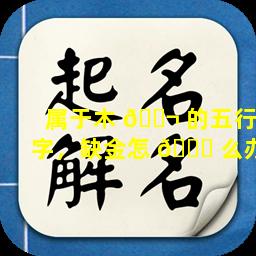 属于木 🐬 的五行字，缺金怎 🐋 么办